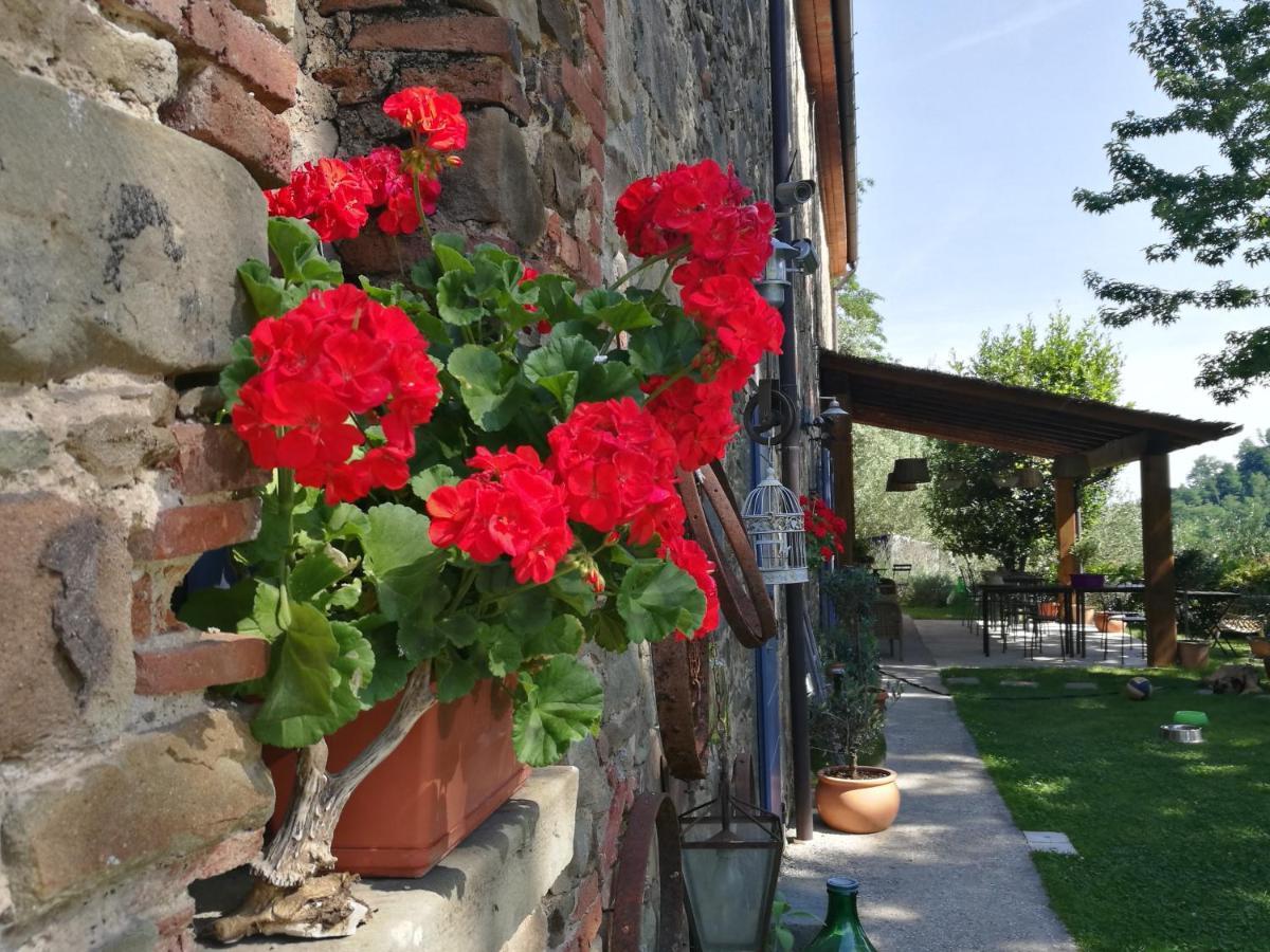 Agriturismo Tananei Marliana Exterior photo